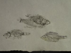 trio-2-fish