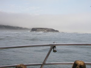 43_otter rock