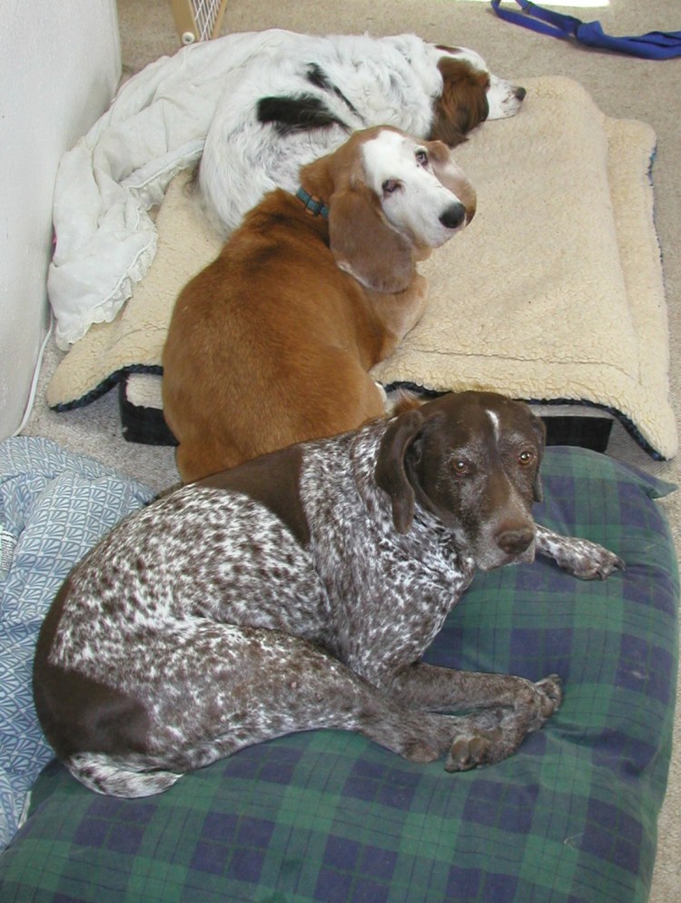 Mocha chloe george 2006