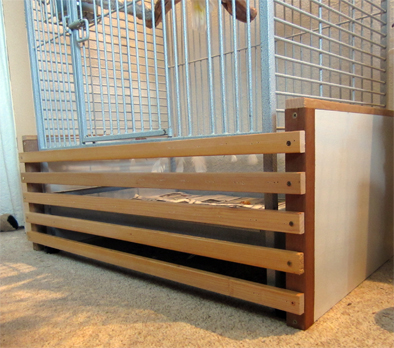 birdcage_jan29_2013_everett