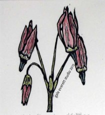 "Shooting Star", hand colored block print, gale everett studio, 2012