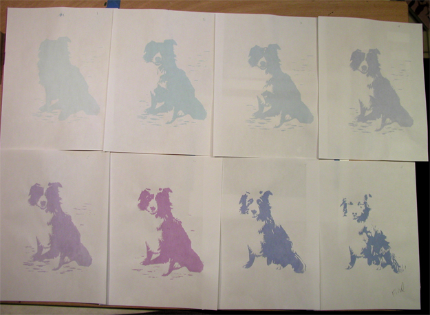 Hobie-Changes-geverett