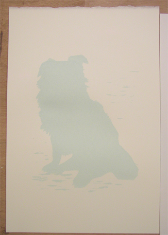 hobie_color1-geverett