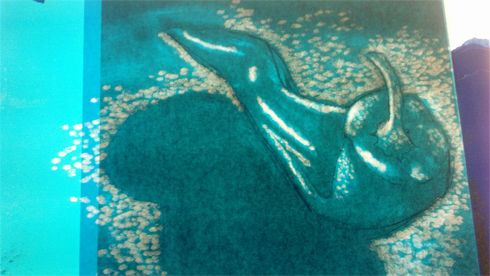 Final plate in process. 