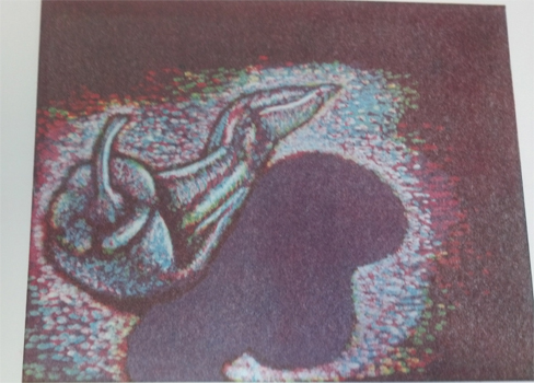 Finished image! Monotype pepper by Gale Everett