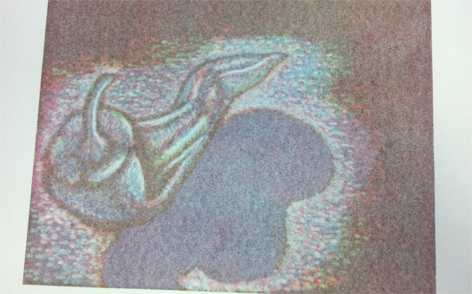 Ghost image of pepper by Gale Everett