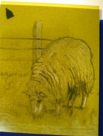 Starting the yellow plate on top of the lightbox. 