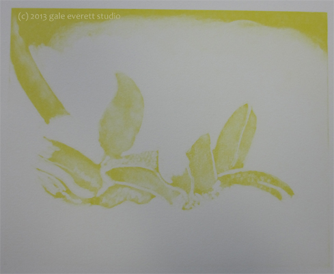 yellow plate results