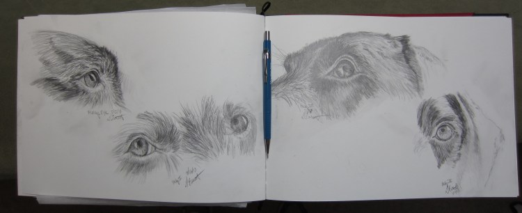 sketchbook page_geverett