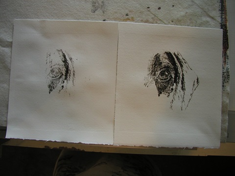 Moby IV proof prints