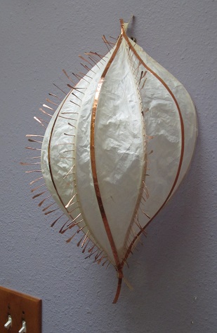 ctenophore right-GaleEverettStudio