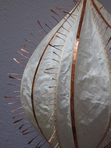 ctenophore side-GaleEverettStudio