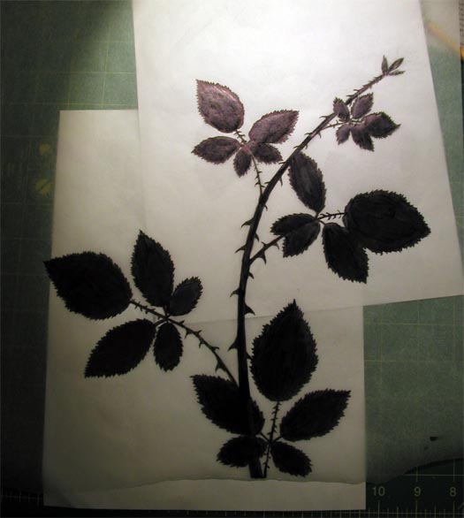 geverett_bberry-vine