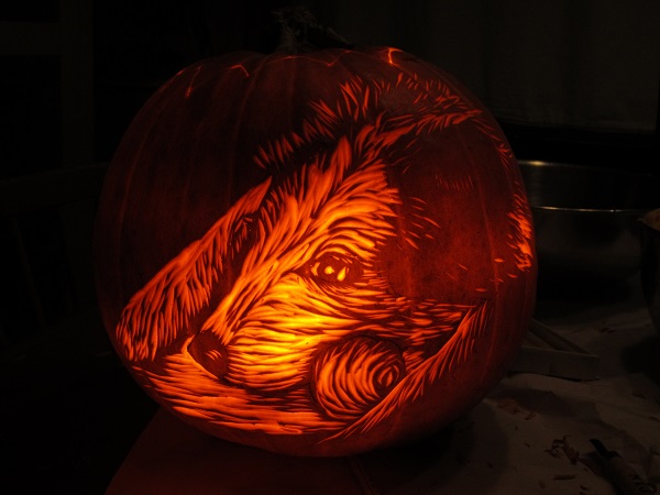 rogue pumpkin2