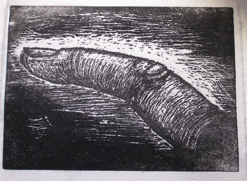 drypoint6