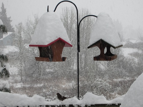 birdhouses2