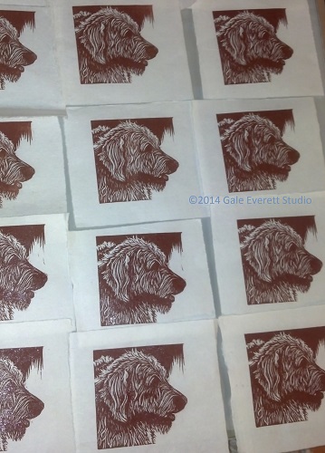 Labradoodle_geverettstudio