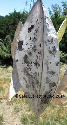 Ash bud- gale everett studio