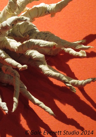 paper_shadows_gale everett studio