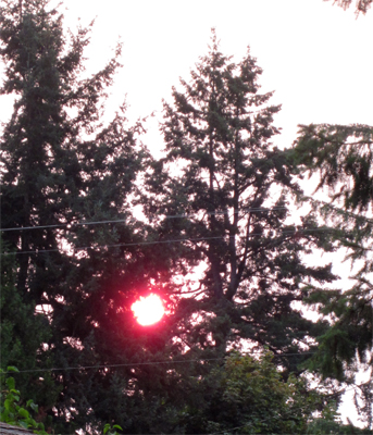 sunrise_August4_2014