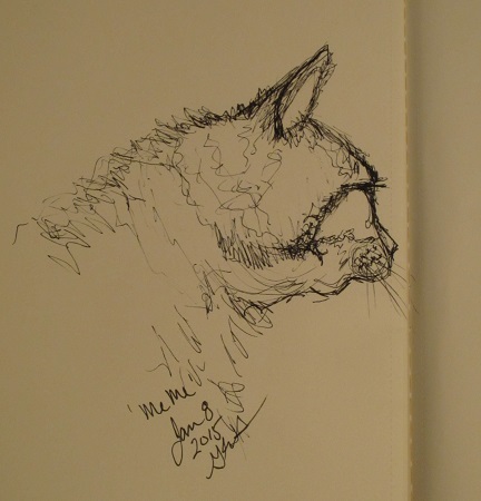 cat scribble_Jan8_2015_geverett
