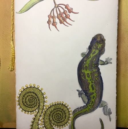 salamander2_galeeverett