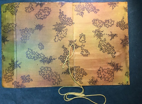 book cover_KarenBaileyBook