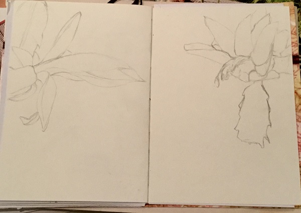 center spread_annas book