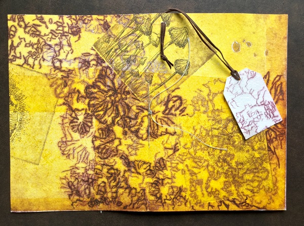 AnnaWarren_ Book Cover_