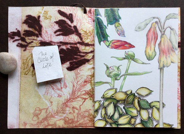 AnnaWarren_Group Front page