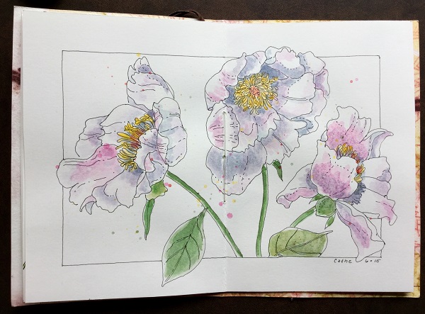 CatheJacobi_Open Page