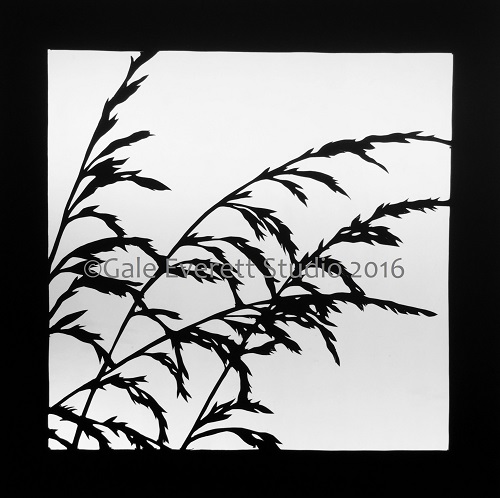 grass 2_geverettstudio2016