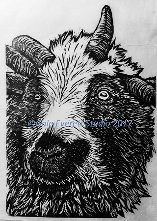 Jacobs_Sheep_geverettstudio