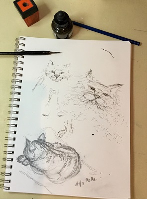 cat doodle feb 7 2018