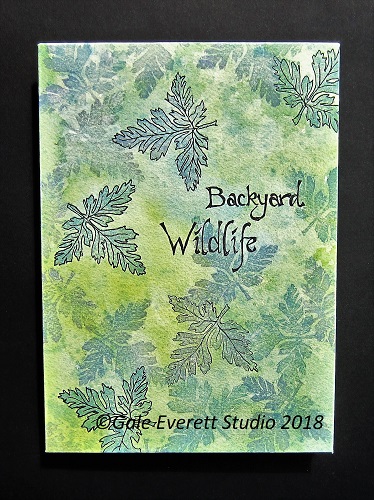 Backyard Wildlife Cover_geverettstudio2018