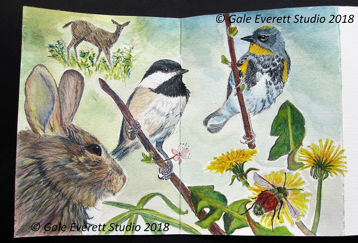 Backyard Wildlife Page_geverettstudio2018