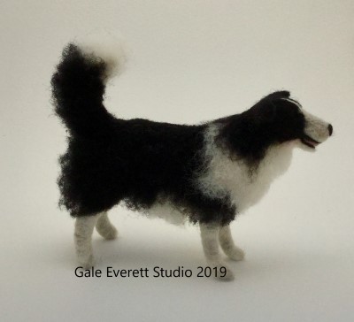 border collie_geverett studio 2019