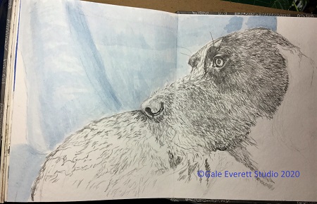 moby more_geverettstudio2020