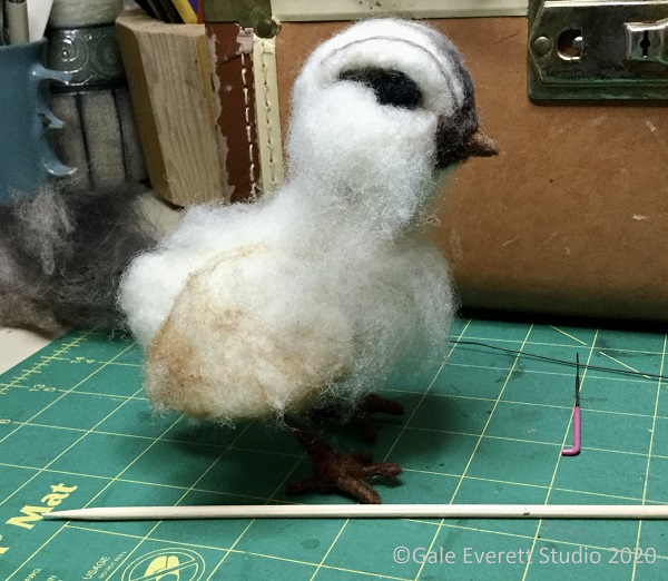 chick1_geverettstudo