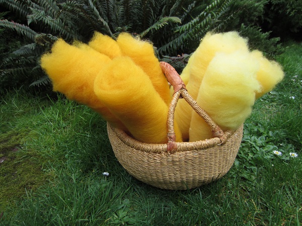 yellow wool2_geverettstudio