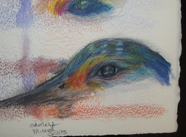 color pencil test3-1