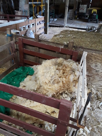 fleece pen2_geverettstudio