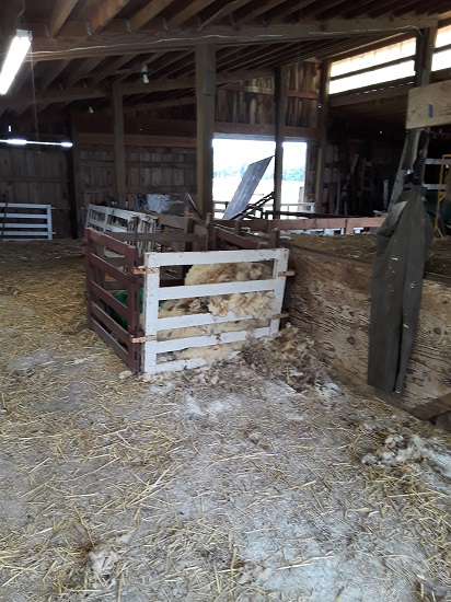 fleece pen_geverettstudio