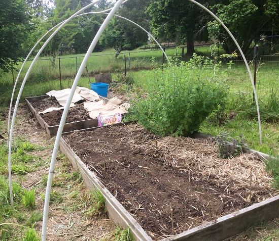 garden boxes_geverettstudio