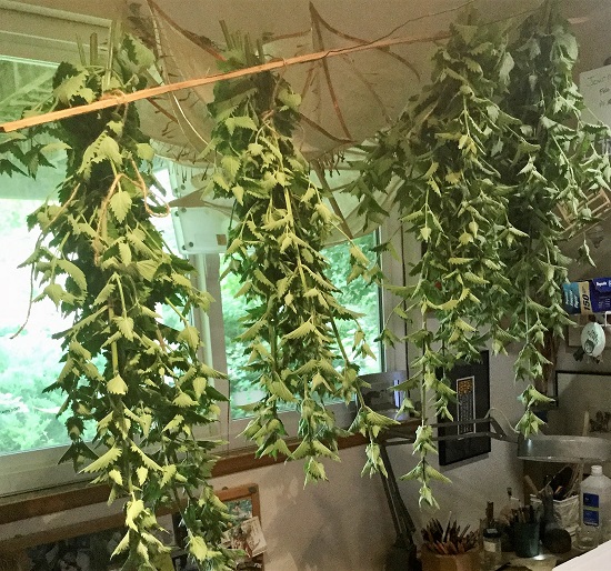 hanging nip2_geverettstudio