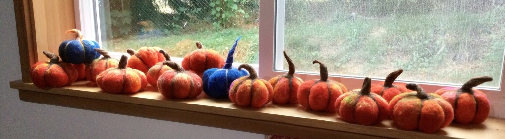 Pumpkins Ready for a show

